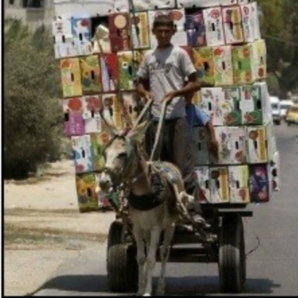 "I SEE IT, I WANT IT, I LIKE IT, I GOT IT !"  Now I need another Shipping Label!